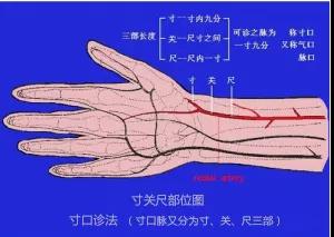 太素脉法-毕研省（http://yx.bzkhy.com）